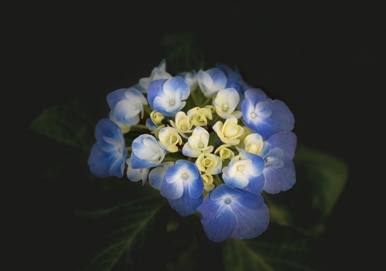 Kaip efektyviai mokytis iš naujienų: 7 pedagogų patikrinti metodai, kurie padės geriau suprasti pasaulį